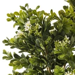 Buy 🧨 9 Pack: Boxwood & Berry Bush by Ashland® ⭐ 9 Buy 🧨 9 Pack: Boxwood & Berry Bush by Ashland® ⭐ -Ashlandty Shop MP546917 20