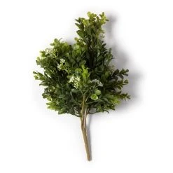 Buy 🧨 9 Pack: Boxwood & Berry Bush by Ashland® ⭐ 11 Buy 🧨 9 Pack: Boxwood & Berry Bush by Ashland® ⭐ -Ashlandty Shop MP546917 21