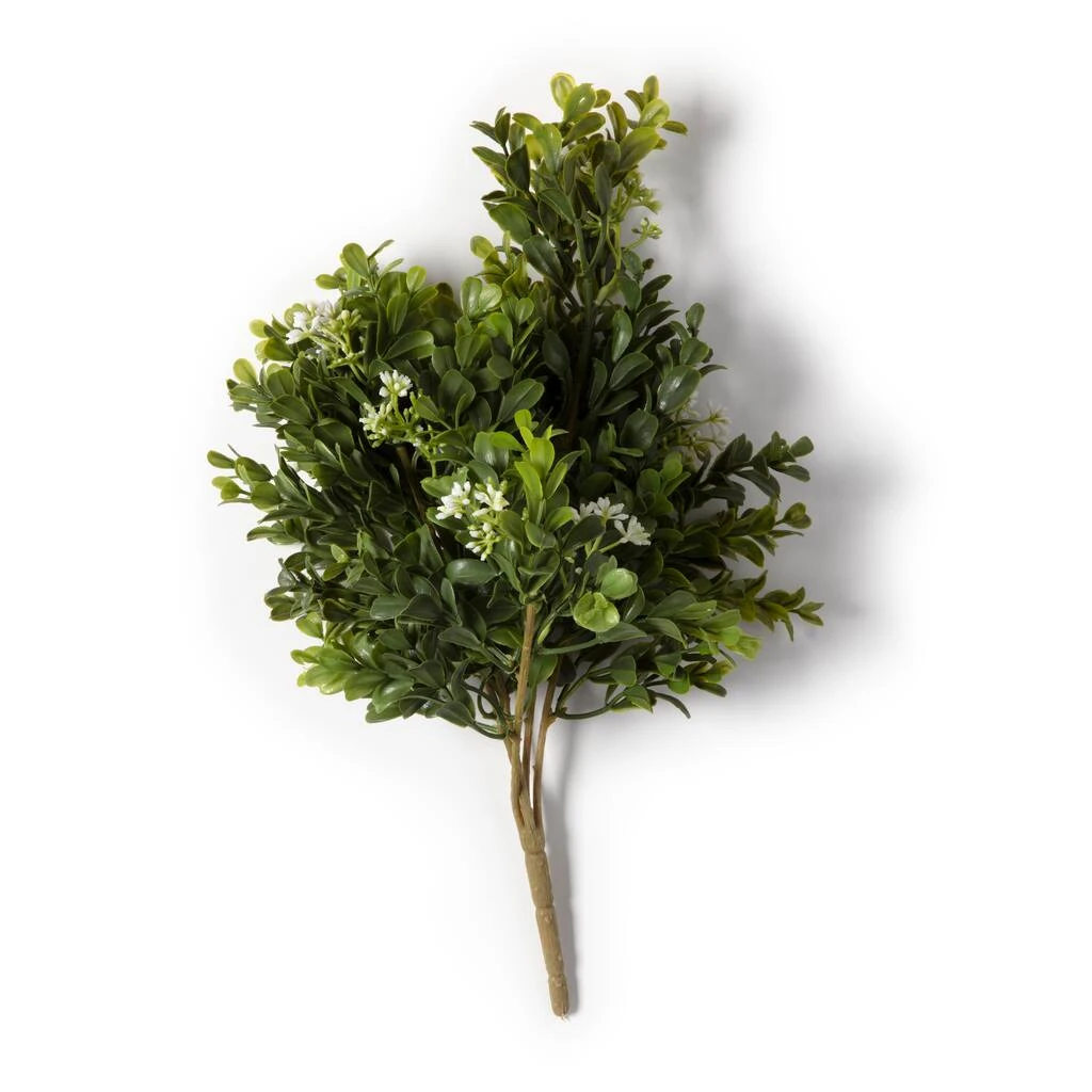 Buy 🧨 9 Pack: Boxwood & Berry Bush by Ashland® ⭐ 7 Buy 🧨 9 Pack: Boxwood & Berry Bush by Ashland® ⭐ - Image 5