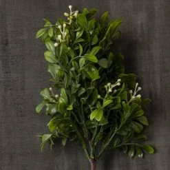 Coupon ✔️ 24 Pack: Green Boxwood Pick by Ashland® 🥰 -Ashlandty Shop MP546920 25