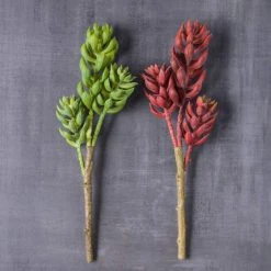 Flash Sale 🤩 24 Pack: Assorted 3 Head Succulent Pick by Ashland® 🛒 -Ashlandty Shop MP546921 22
