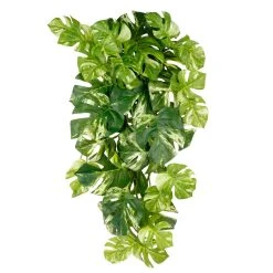 Best deal ❤️ 12 Pack: Split Hanging Philo Bush by Ashland® 🥰