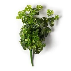 Best deal ❤️ 12 Pack: Split Hanging Philo Bush by Ashland® 🥰 -Ashlandty Shop MP547223 21