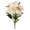Cheapest π 12 Pack: Cream Peony Bush by Ashland® β€οΈ 2 Cheapest π 12 Pack: Cream Peony Bush by Ashland® β€οΈ -Ashlandty Shop MP547348 1