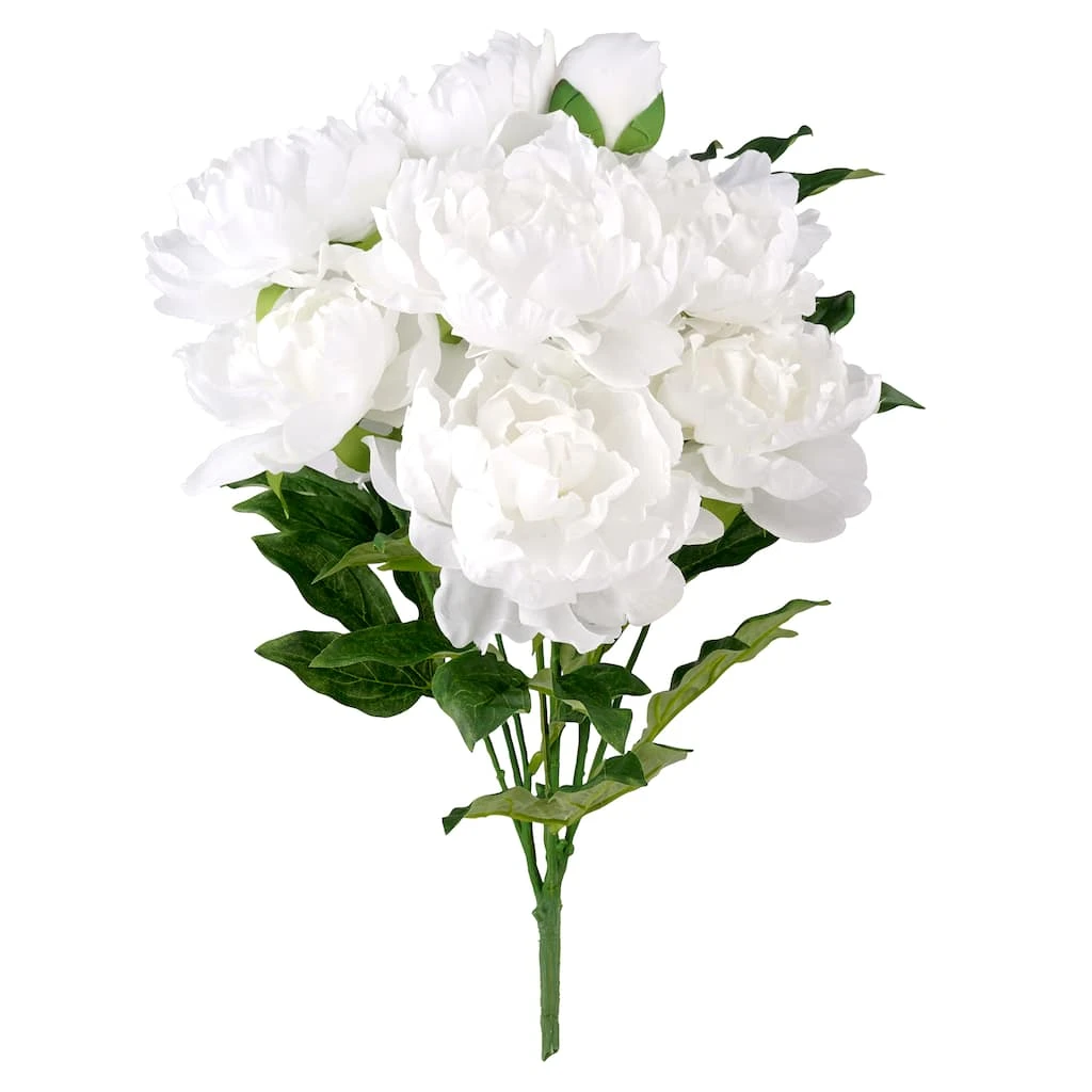 New 🧨 12 Pack: White Peony Bush by Ashland® ❤️ 3 New 🧨 12 Pack: White Peony Bush by Ashland® ❤️