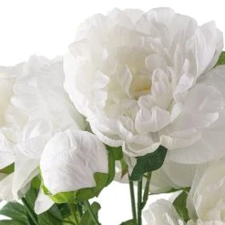 New 🧨 12 Pack: White Peony Bush by Ashland® ❤️ 10 New 🧨 12 Pack: White Peony Bush by Ashland® ❤️ -Ashlandty Shop MP547350 20