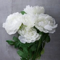 New 🧨 12 Pack: White Peony Bush by Ashland® ❤️ 9 New 🧨 12 Pack: White Peony Bush by Ashland® ❤️ -Ashlandty Shop MP547350 22