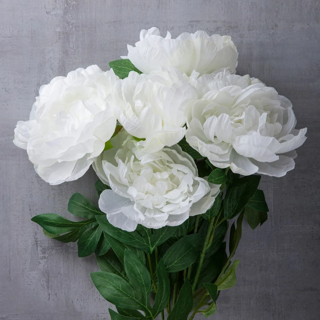 New 🧨 12 Pack: White Peony Bush by Ashland® ❤️ 5 New 🧨 12 Pack: White Peony Bush by Ashland® ❤️ - Image 3