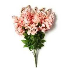 Best Sale 🥰 12 Pack: Coral Wisteria Bush by Ashland® 😍 -Ashlandty Shop MP547397 21