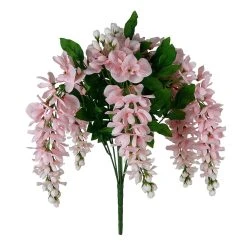 Top 10 🎁 12 Pack: Pink Wisteria Bush by Ashland® 👏