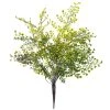 Buy ⌛ 12 Pack: Forest Fern Bush by Ashland® 👍 -Ashlandty Shop MP547457 1