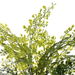 Buy ⌛ 12 Pack: Forest Fern Bush by Ashland® 👍 -Ashlandty Shop MP547457 2