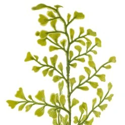 Buy ⌛ 12 Pack: Forest Fern Bush by Ashland® 👍 -Ashlandty Shop MP547457 20