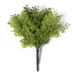 Buy ⌛ 12 Pack: Forest Fern Bush by Ashland® 👍 -Ashlandty Shop MP547457 21