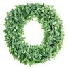 Hot Sale 👏 12 Pack: 20" Foliage Wreath by Ashland® ⌛ -Ashlandty Shop MP547486 1