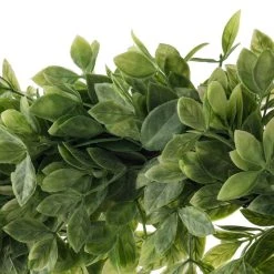 Hot Sale 👏 12 Pack: 20" Foliage Wreath by Ashland® ⌛ -Ashlandty Shop MP547486 20