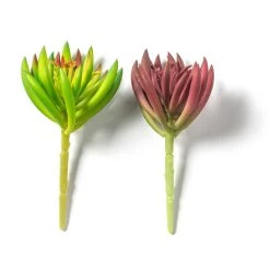 Best Sale ๐ฅ 12 Pack: Assorted Succulent Pick by Ashland® โ๏ธ 16 Best Sale ๐ฅ 12 Pack: Assorted Succulent Pick by Ashland® โ๏ธ -Ashlandty Shop MP547488 21