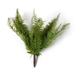 Cheapest 🎉 8 Pack: Green Boston Fern Bush by Ashland® 😉 -Ashlandty Shop MP547493 21