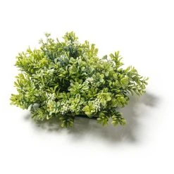 Hot Sale ⌛ 8 Pack: Green Boxwood Bush by Ashland® 🌟 -Ashlandty Shop MP547534 21