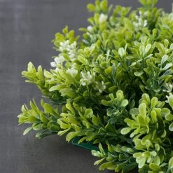 Hot Sale ⌛ 8 Pack: Green Boxwood Bush by Ashland® 🌟 -Ashlandty Shop MP547534 25