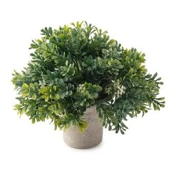 Budget ❤️ 6 Pack: Premade Boxwood Bush by Ashland® 🤩 -Ashlandty Shop MP547538 21