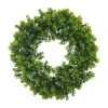 Cheapest 🔔 12 Pack: 22" Boxwood Wreath by Ashland® 🤩 -Ashlandty Shop MP547547 1
