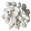 Best Sale ✔️ 12 Pack: White Marble Rocks by Ashland™ 🥰 -Ashlandty Shop MP556694 31