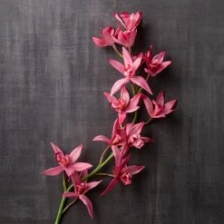 Best Pirce ⭐ 6 Pack: Mauve Boat Orchid Spray by Ashland® ✔️ -Ashlandty Shop MP626413 22