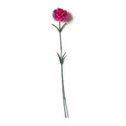 Best Sale 🤩 24 Pack: Hot Pink Carnation Stem by Ashland® 😀 -Ashlandty Shop MP626417 21