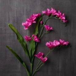 Buy 😀 12 Pack: Hot Pink Freesia Spray by Ashland® 👍 -Ashlandty Shop MP626419 22