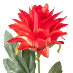 Hot Sale 🥰 12 Pack: Red Hops Stem by Ashland® 😉 11 Hot Sale 🥰 12 Pack: Red Hops Stem by Ashland® 😉 -Ashlandty Shop MP626421 20