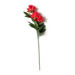 Hot Sale 🥰 12 Pack: Red Hops Stem by Ashland® 😉 13 Hot Sale 🥰 12 Pack: Red Hops Stem by Ashland® 😉 -Ashlandty Shop MP626421 21