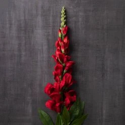 Cheap ๐ 12 Pack: Red Snapdragon Spray by Ashland® โญ 12 Cheap ๐ 12 Pack: Red Snapdragon Spray by Ashland® โญ -Ashlandty Shop MP626425 22