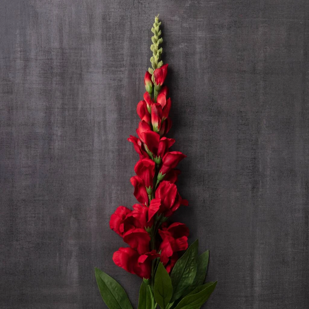 Cheap ๐ 12 Pack: Red Snapdragon Spray by Ashland® โญ 7 Cheap ๐ 12 Pack: Red Snapdragon Spray by Ashland® โญ - Image 5