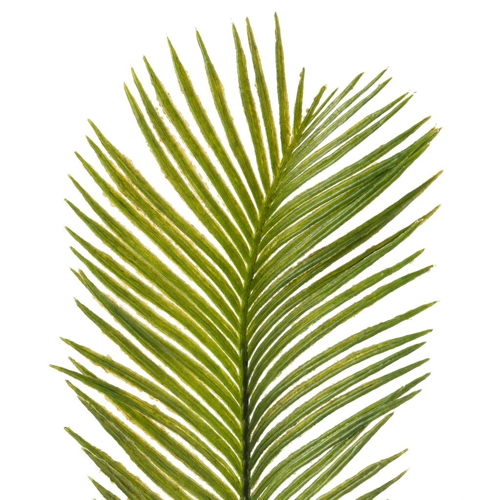 Buy π 12 Pack: Green Sago Palm Spray by Ashland® π 7 Buy π 12 Pack: Green Sago Palm Spray by Ashland® π - Image 5