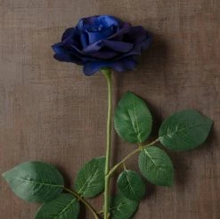 Cheap 😀 12 Pack: Navy Princess Rose Stem by Ashland® 👏 -Ashlandty Shop MP626447 25