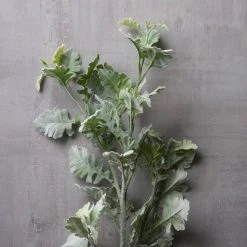 Best deal ❤️ 6 Pack: Frosted Dusty Miller Spray by Ashland® 🤩 -Ashlandty Shop MP626451 22