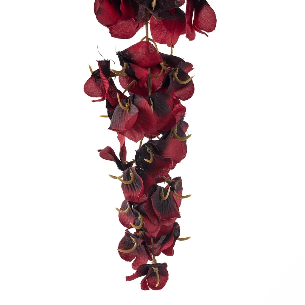 Hot Sale π 12 Pack: Burgundy Wisteria Stem by Ashland® π₯° 7 Hot Sale π 12 Pack: Burgundy Wisteria Stem by Ashland® π₯° - Image 5
