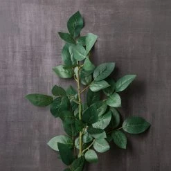 Top 10 🧨 12 Pack: Rose Leaf Stem by Ashland® 🔔 -Ashlandty Shop MP626471 22