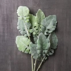 Best reviews of 💯 12 Pack: Green Dusty Miller Spray by Ashland® 🌟 -Ashlandty Shop MP626483 22