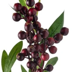 New 🔔 12 Pack: Burgundy Berry Stem by Ashland® 👏 -Ashlandty Shop MP626525 20