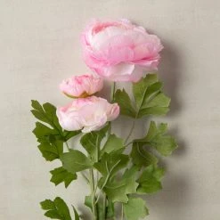 Coupon ❤️ 12 Pack: Pink Ranunculus Spray by Ashland® 🔥 -Ashlandty Shop MP626529 25