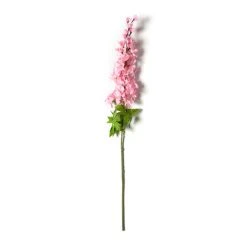 Best reviews of ✨ 12 Pack: Pink Larkspur Stem by Ashland® ⌛ -Ashlandty Shop MP626562 21