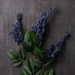 Best reviews of 🤩 12 Pack: Blue Berry Spray by Ashland® ❤️ -Ashlandty Shop MP626572 22