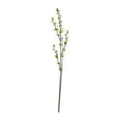 Best Sale π 12 Pack: Green Willow Stem by Ashland® 𧨠12 Best Sale π 12 Pack: Green Willow Stem by Ashland® 𧨠-Ashlandty Shop MP626847 21