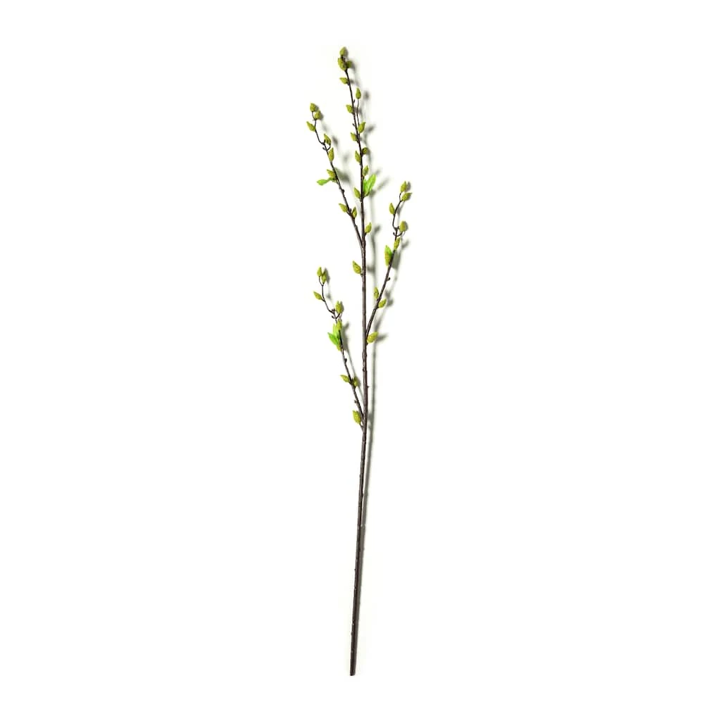 Best Sale π 12 Pack: Green Willow Stem by Ashland® 𧨠7 Best Sale π 12 Pack: Green Willow Stem by Ashland® 𧨠- Image 5