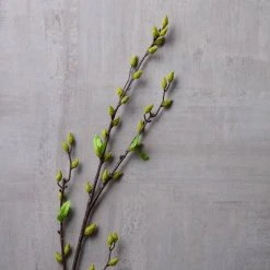 Best Sale π 12 Pack: Green Willow Stem by Ashland® 𧨠13 Best Sale π 12 Pack: Green Willow Stem by Ashland® 𧨠-Ashlandty Shop MP626847 22