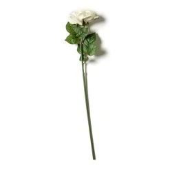 Deals 🥰 6 Pack: White Rose Stem by Ashland® 👍 -Ashlandty Shop MP626862 21