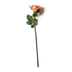 Top 10 ⌛ 6 Pack: Coral Rose Stem by Ashland® ⌛ 13 Top 10 ⌛ 6 Pack: Coral Rose Stem by Ashland® ⌛ -Ashlandty Shop MP626866 21