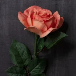 Top 10 ⌛ 6 Pack: Coral Rose Stem by Ashland® ⌛ 11 Top 10 ⌛ 6 Pack: Coral Rose Stem by Ashland® ⌛ -Ashlandty Shop MP626866 22